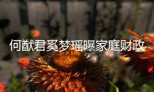 梦瑶曝家办公况 庭财政状掌控何猷权属室君奚家族